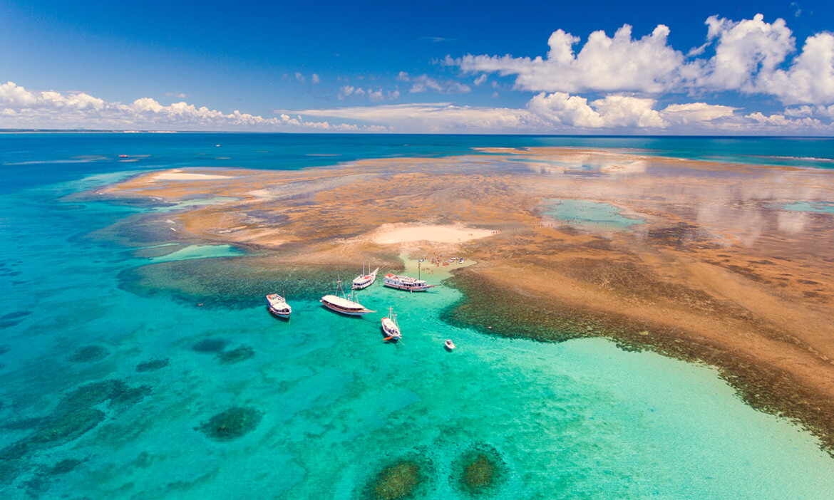 Conheça o Parque Marinho do Recife de Fora